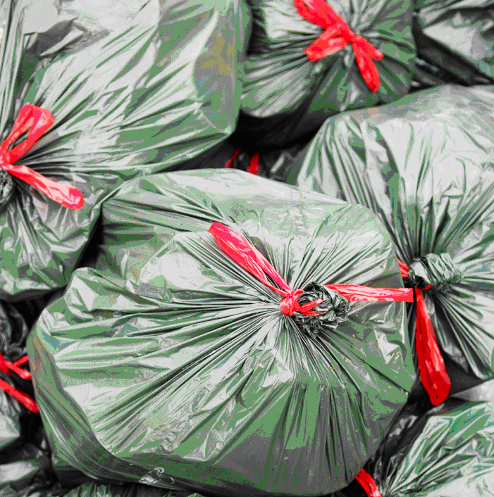 Mais de 170 toneladas de resíduos foram recolhidas depois das eleições